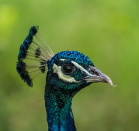 /album/photo-gallery-printove-prints/img-7354-2-jpg/